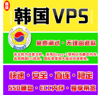 韩国VPS机房4096M国外，国产 搜索引擎